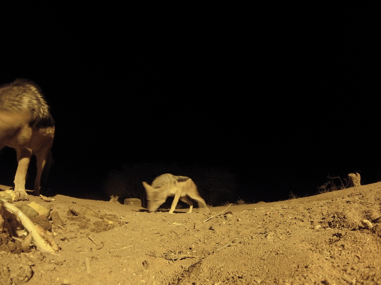 [10284] 2016_06_23_19_02_42_Africa_Hero3-Silver_Edition_IMG__00687.jpg