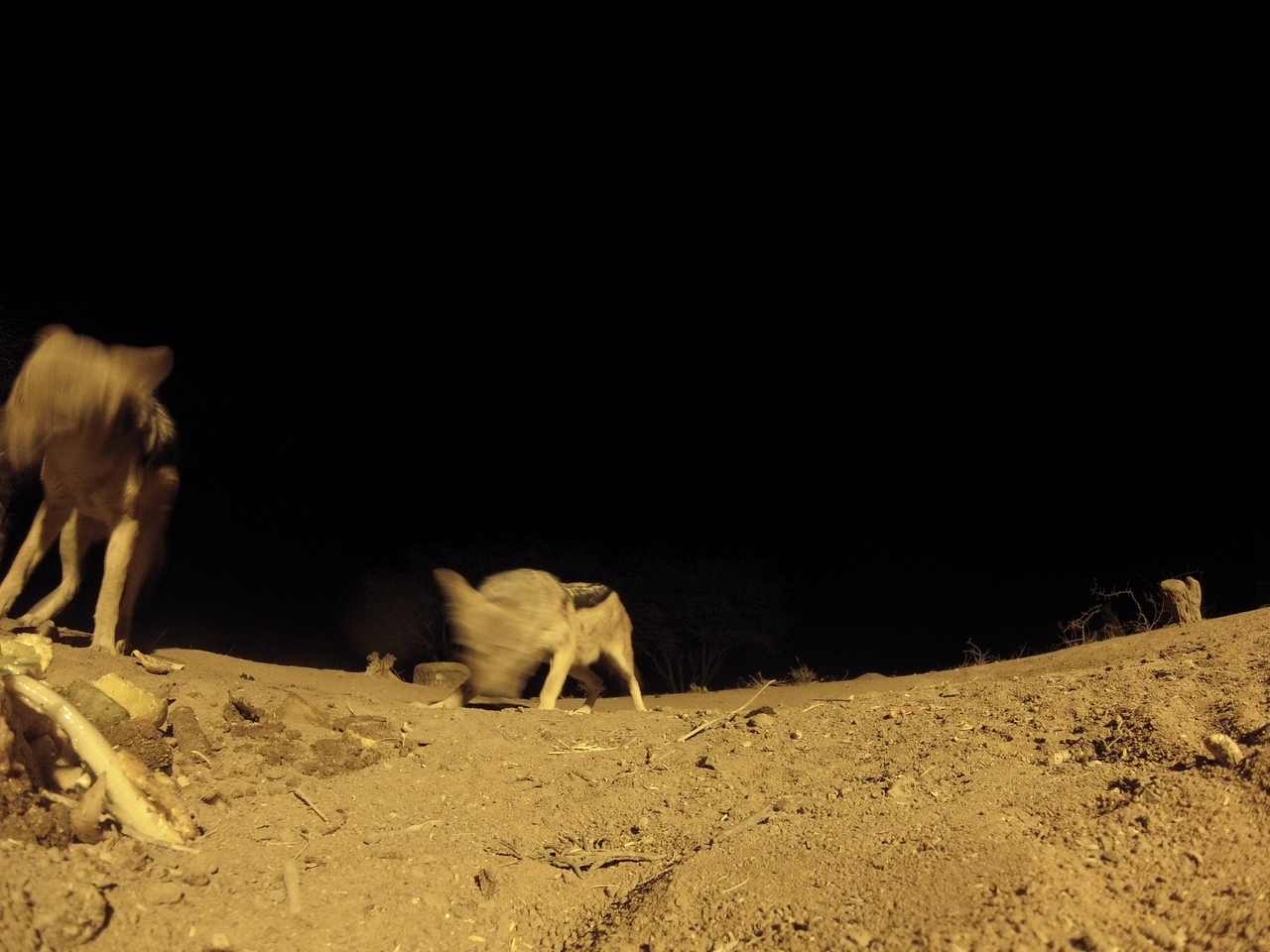 [10288] 2016_06_23_19_02_46_Africa_Hero3-Silver_Edition_IMG__00688.jpg