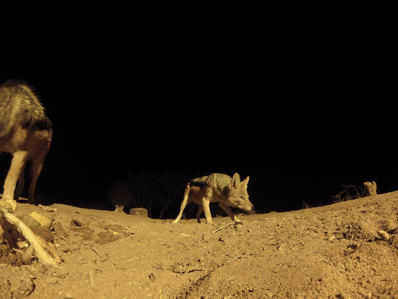 [10297] 2016_06_23_19_02_54_Africa_Hero3-Silver_Edition_IMG__01139.jpg