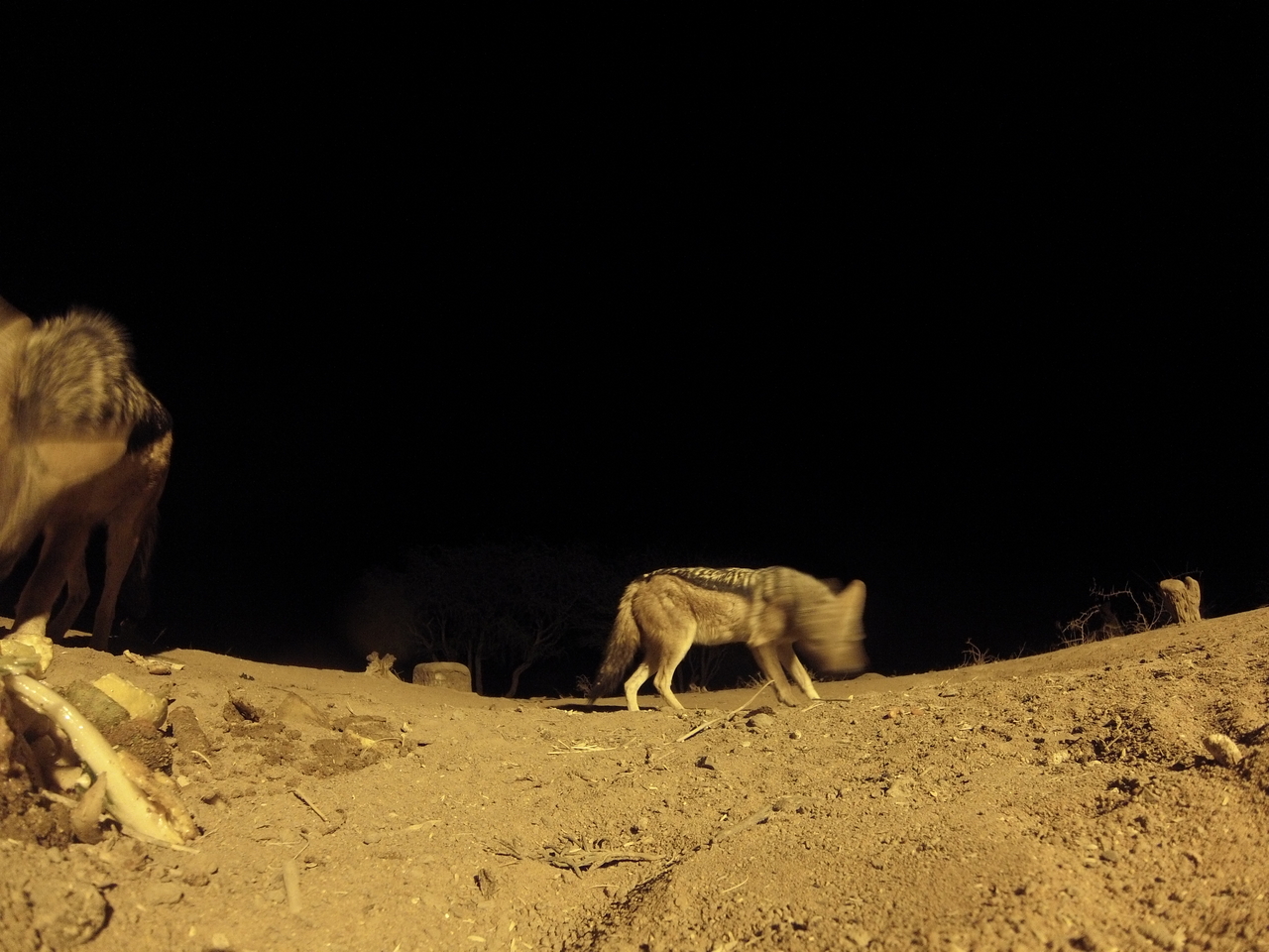 [10302] 2016_06_23_19_02_58_Africa_Hero3-Silver_Edition_IMG__00693.jpg