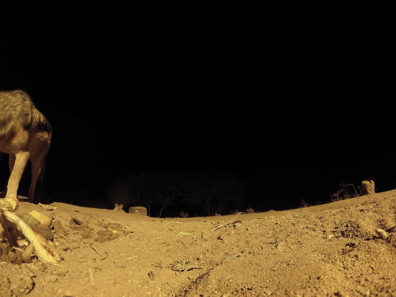 [10308] 2016_06_23_19_03_04_Africa_Hero3-Silver_Edition_IMG__00695.jpg