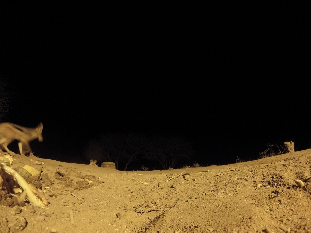 [10320] 2016_06_23_19_03_14_Africa_Hero3-Silver_Edition_IMG__00699.jpg