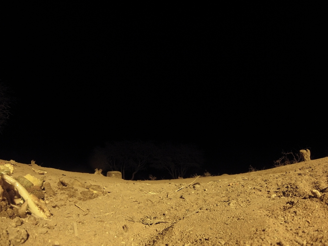 [10331] 2016_06_23_19_03_22_Africa_Hero3-Silver_Edition_IMG__01150.jpg