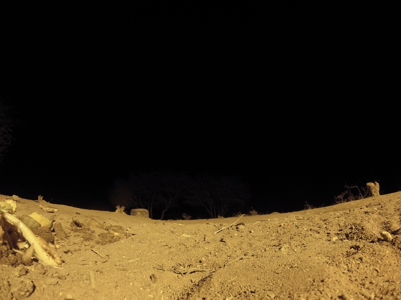 [10338] 2016_06_23_19_03_28_Africa_Hero3-Silver_Edition_IMG__00705.jpg