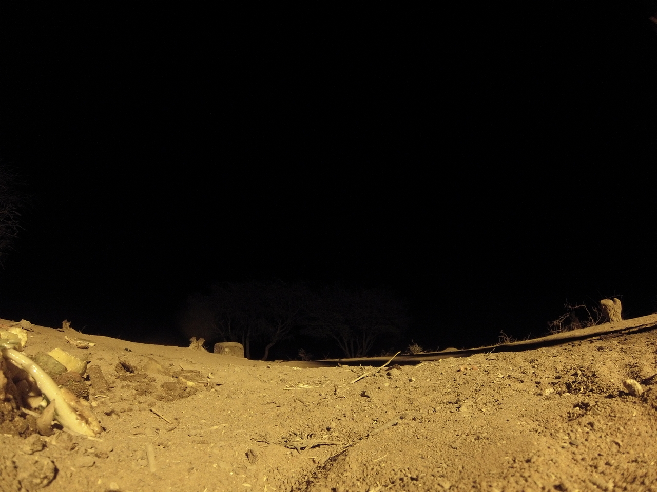 [10341] 2016_06_23_19_03_30_Africa_Hero3-Silver_Edition_IMG__01154.jpg