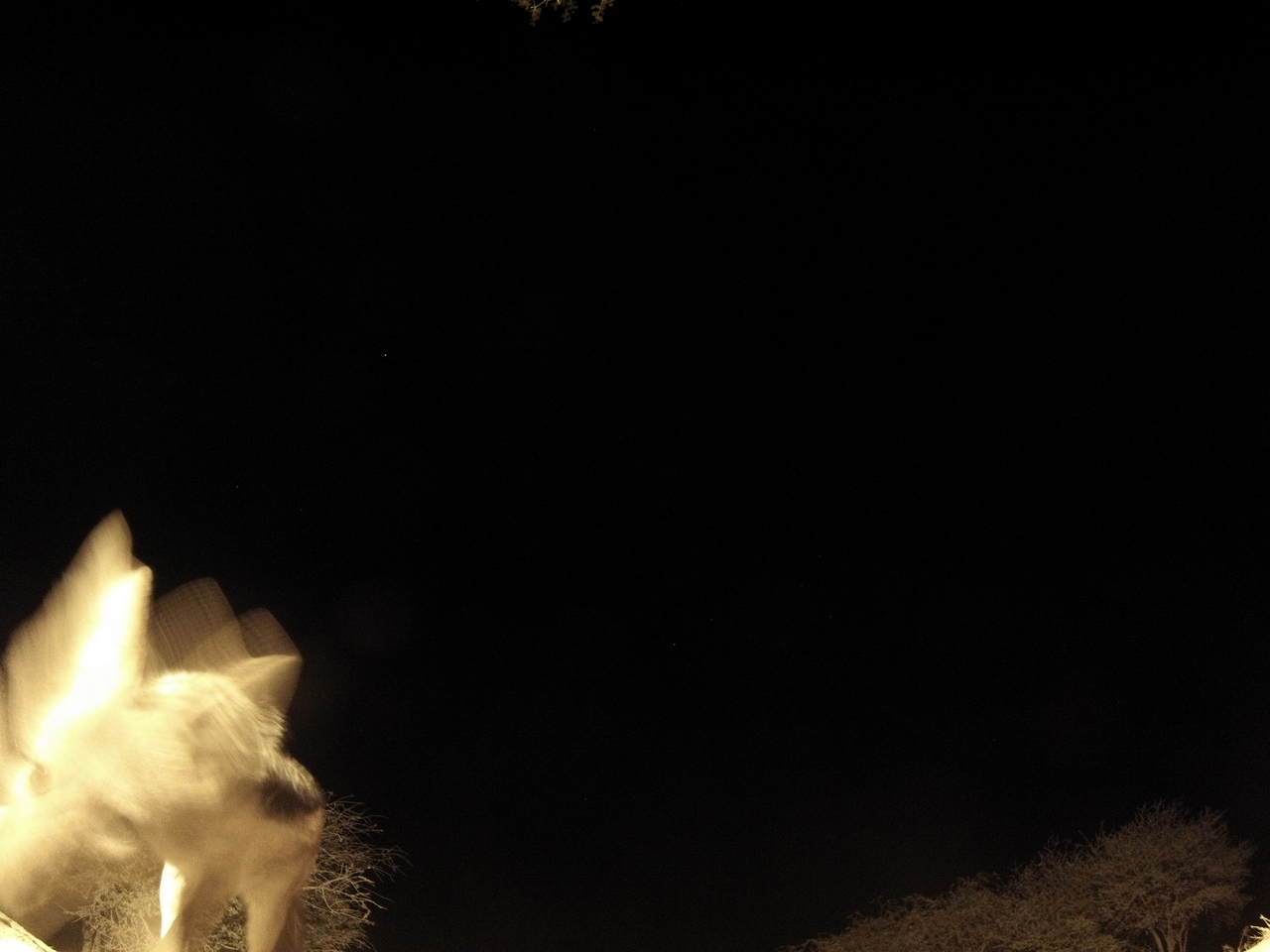 [10437] 2016_06_23_19_05_09_Africa_Hero3-Silver_Edition_IMG__01179.jpg