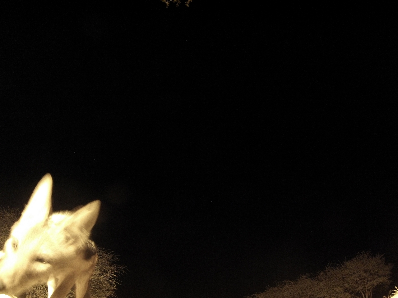 [10440] 2016_06_23_19_05_13_Africa_Hero3-Silver_Edition_IMG__00732.jpg