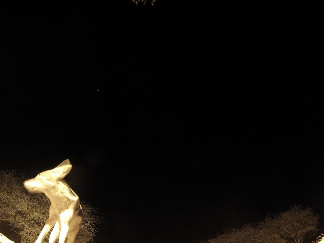 [10447] 2016_06_23_19_05_21_Africa_Hero3-Silver_Edition_IMG__01182.jpg