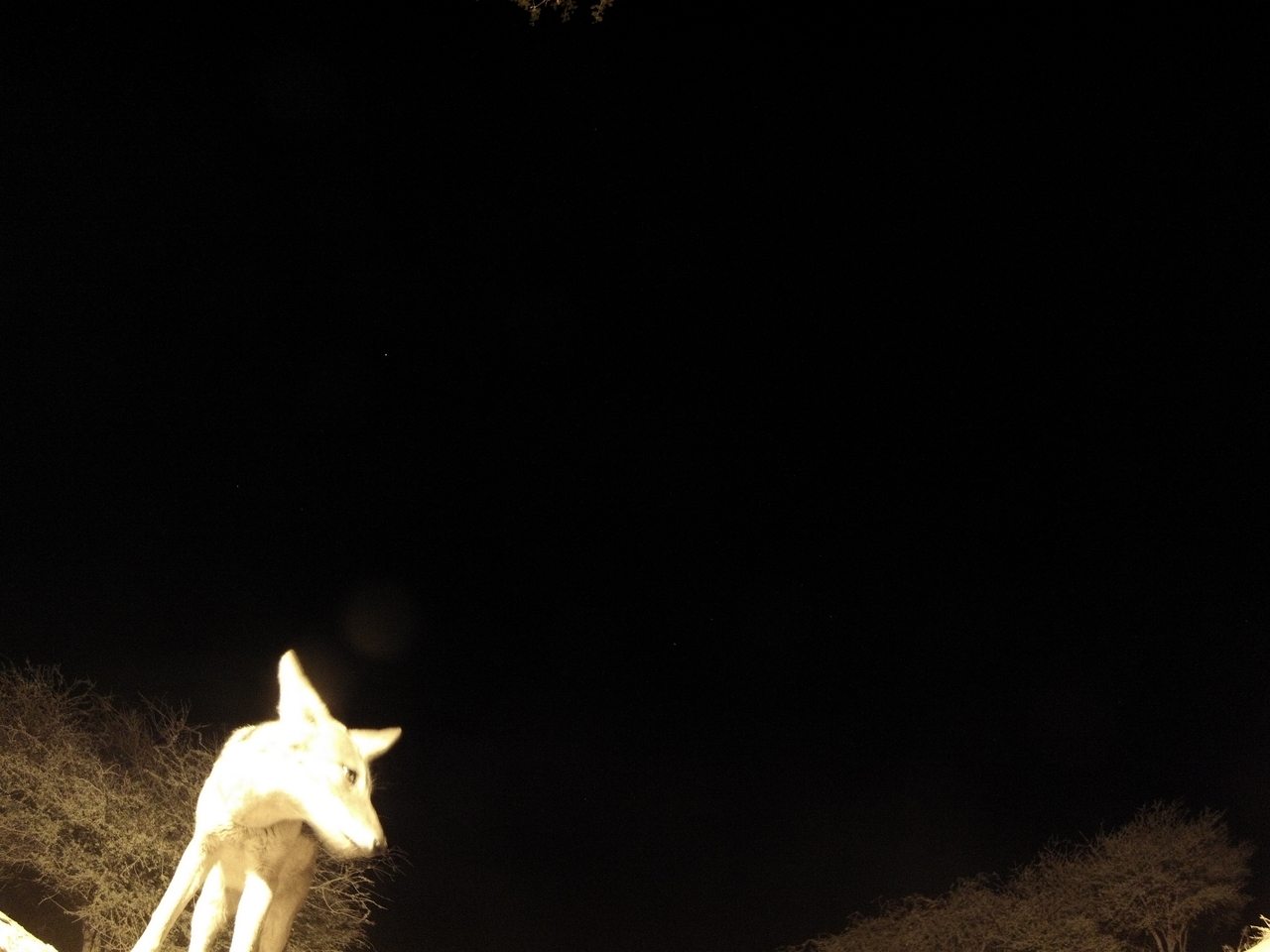 [10450] 2016_06_23_19_05_25_Africa_Hero3-Silver_Edition_IMG__00735.jpg