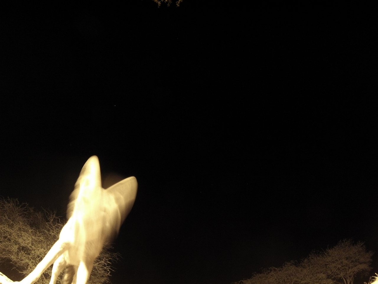 [10466] 2016_06_23_19_05_41_Africa_Hero3-Silver_Edition_IMG__00739.jpg