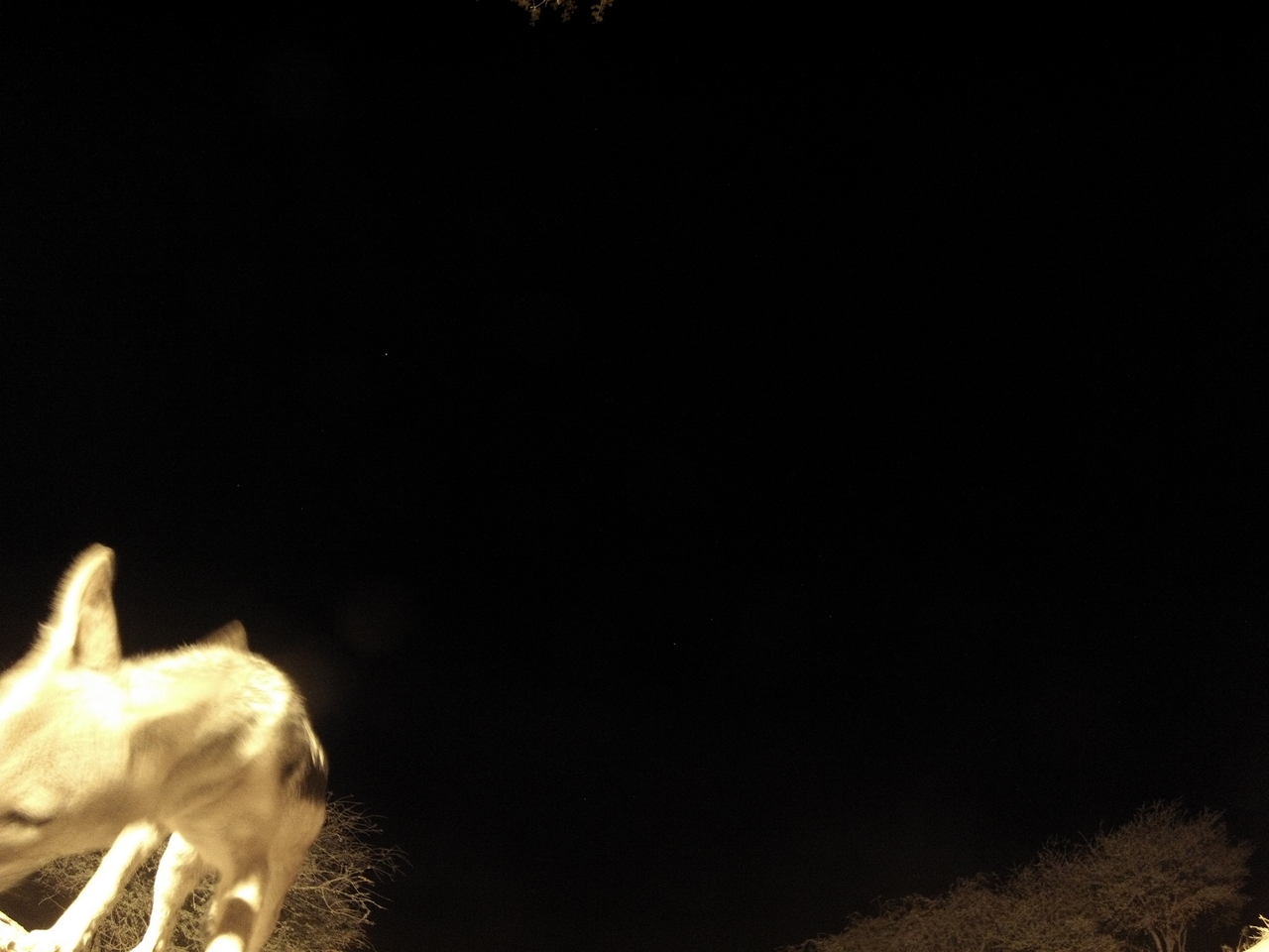 [10469] 2016_06_23_19_05_45_Africa_Hero3-Silver_Edition_IMG__01188.jpg