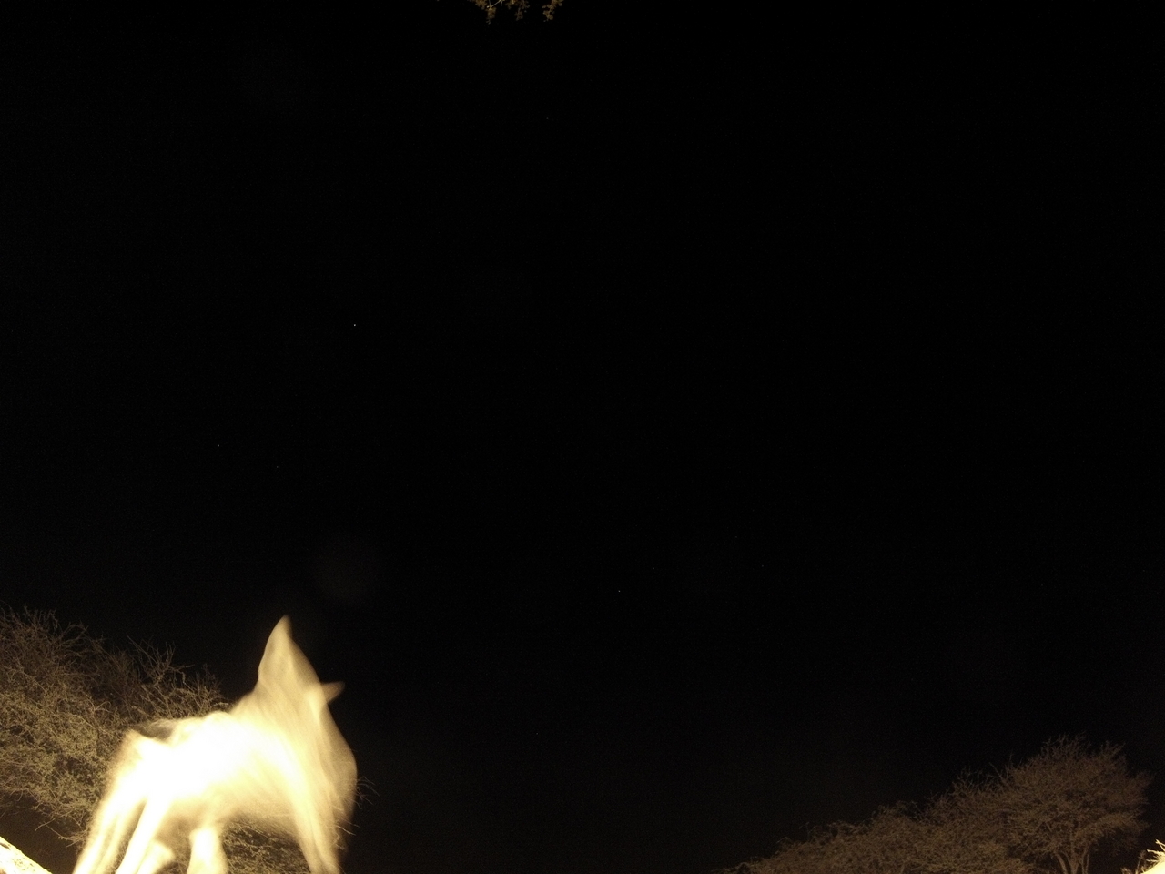 [10473] 2016_06_23_19_05_49_Africa_Hero3-Silver_Edition_IMG__01189.jpg