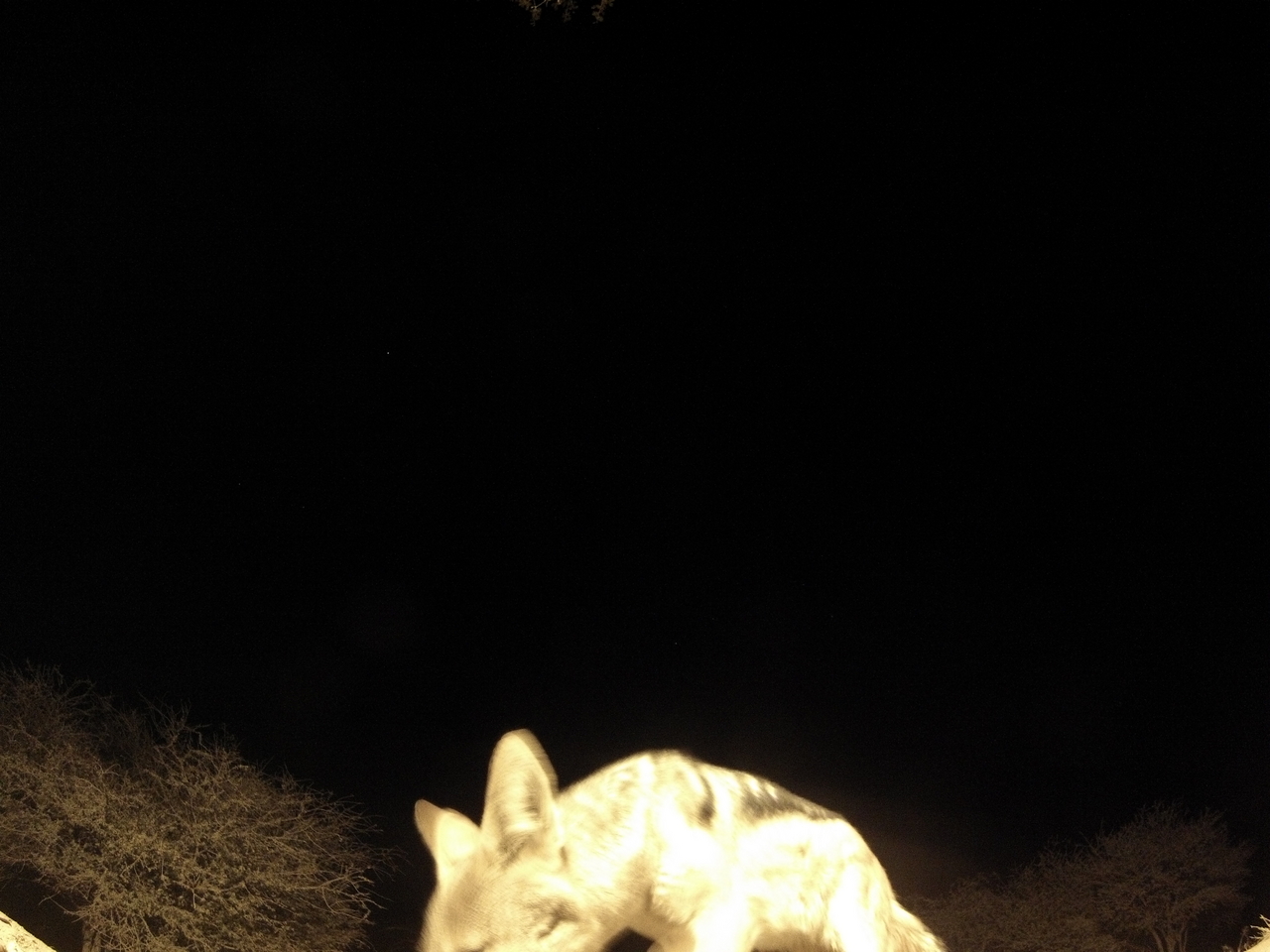 [10512] 2016_06_23_19_06_33_Africa_Hero3-Silver_Edition_IMG__00752.jpg