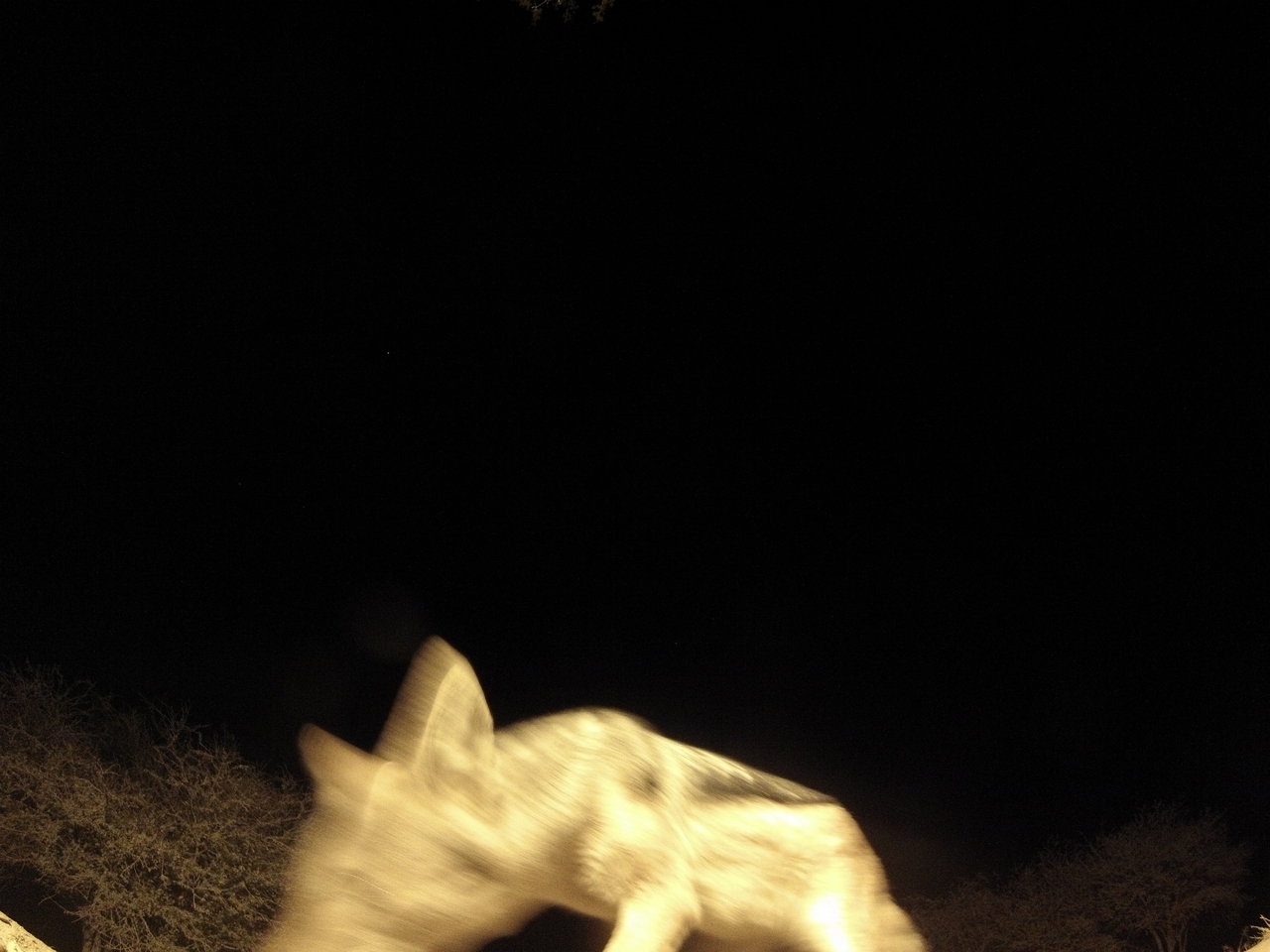 [10517] 2016_06_23_19_06_37_Africa_Hero3-Silver_Edition_IMG__01201.jpg