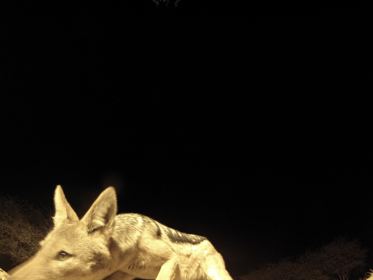 [10519] 2016_06_23_19_06_39_Africa_Hero3-Silver_Edition_IMG__01202.jpg