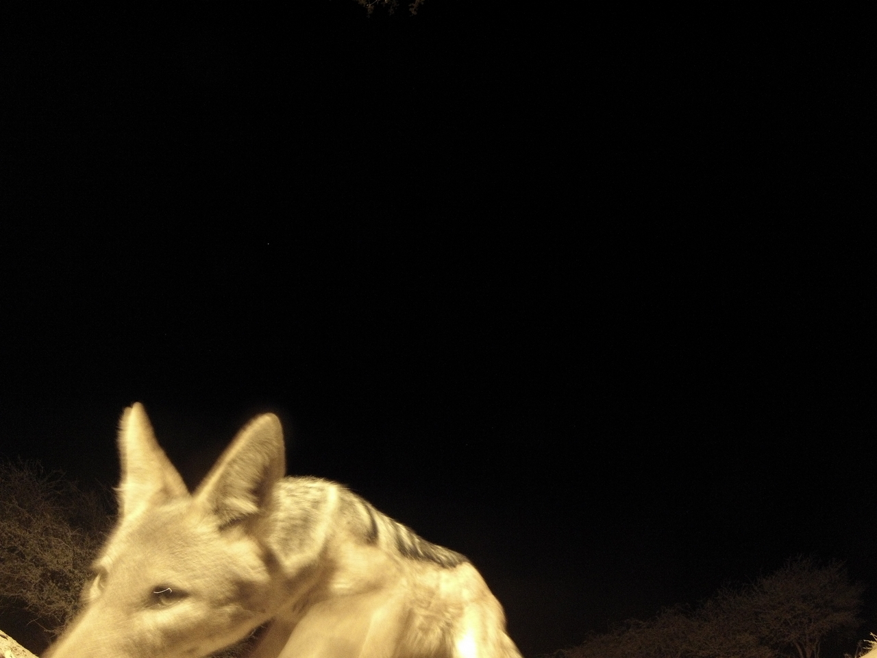 [10523] 2016_06_23_19_06_43_Africa_Hero3-Silver_Edition_IMG__01203.jpg