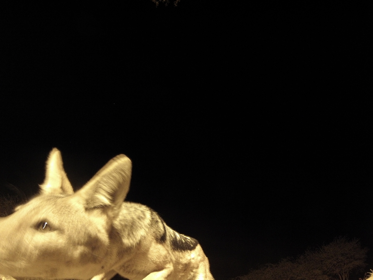 [10525] 2016_06_23_19_06_45_Africa_Hero3-Silver_Edition_IMG__01204.jpg