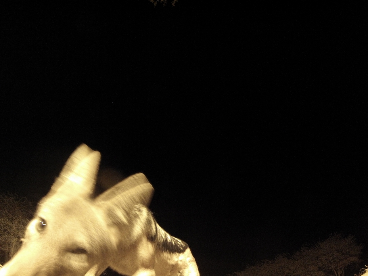 [10533] 2016_06_23_19_06_53_Africa_Hero3-Silver_Edition_IMG__01206.jpg