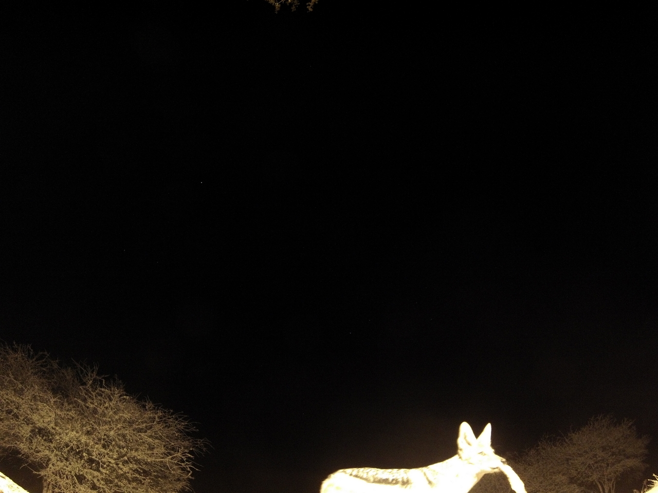 [10536] 2016_06_23_19_06_57_Africa_Hero3-Silver_Edition_IMG__00759.jpg