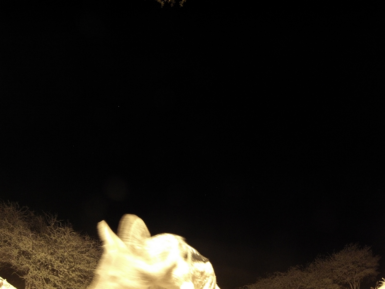 [10604] 2016_06_23_19_08_13_Africa_Hero3-Silver_Edition_IMG__00778.jpg