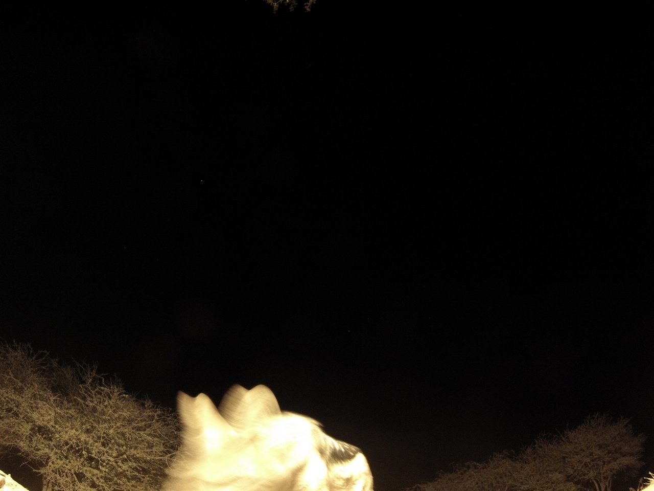 [10611] 2016_06_23_19_08_21_Africa_Hero3-Silver_Edition_IMG__01228.jpg