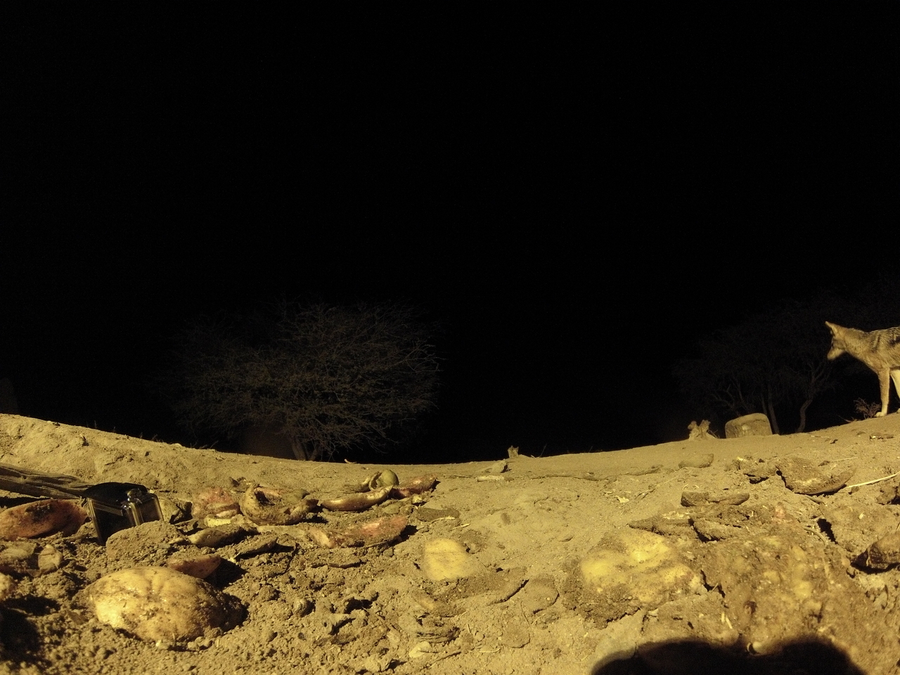 [10834] 2016_06_23_19_51_29_Africa_Hero3-Silver_Edition_IMG__01289.jpg