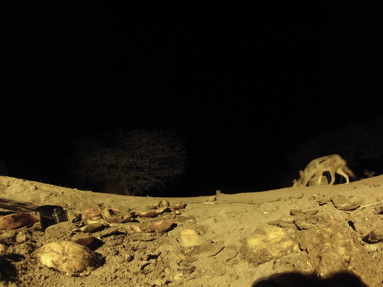 [10835] 2016_06_23_19_51_30_Africa_Hero3-Silver_Edition_IMG__00842.jpg