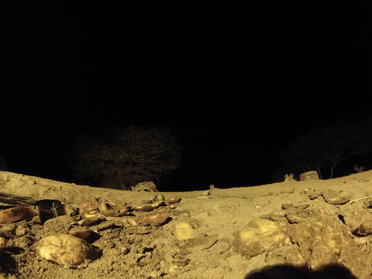 [10844] 2016_06_23_19_51_38_Africa_Hero3-Silver_Edition_IMG__01292.jpg