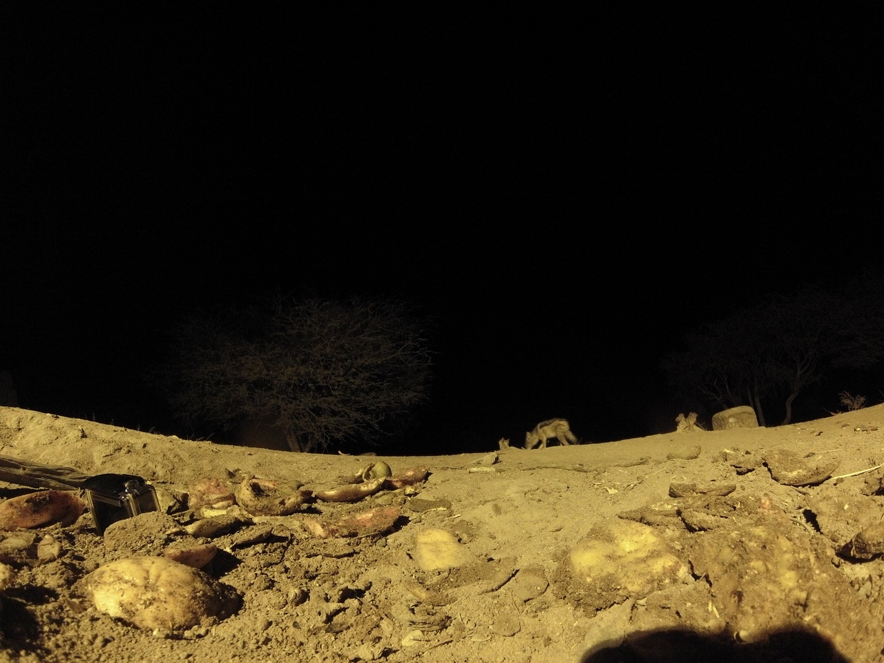 [10867] 2016_06_23_19_52_02_Africa_Hero3-Silver_Edition_IMG__00851.jpg