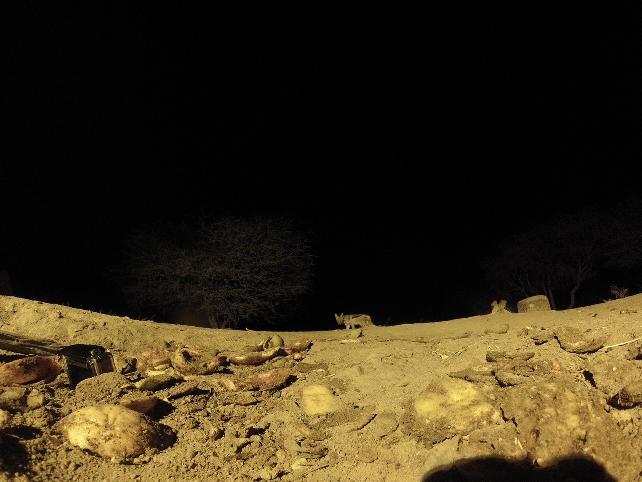 [10869] 2016_06_23_19_52_04_Africa_Hero3-Silver_Edition_IMG__00852.jpg