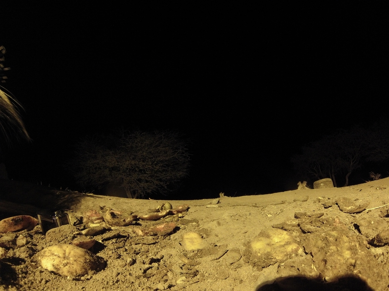 [10907] 2016_06_23_19_52_40_Africa_Hero3-Silver_Edition_IMG__00864.jpg