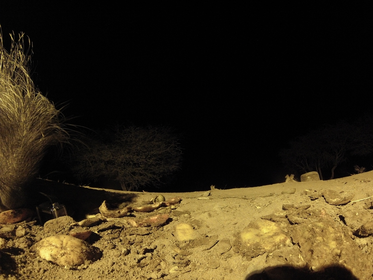 [10911] 2016_06_23_19_52_44_Africa_Hero3-Silver_Edition_IMG__00865.jpg