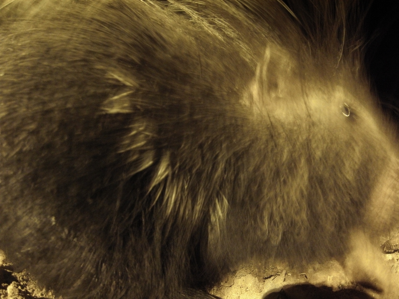 [10925] 2016_06_23_19_53_01_Africa_Hero3-Silver_Edition_IMG__00869.jpg