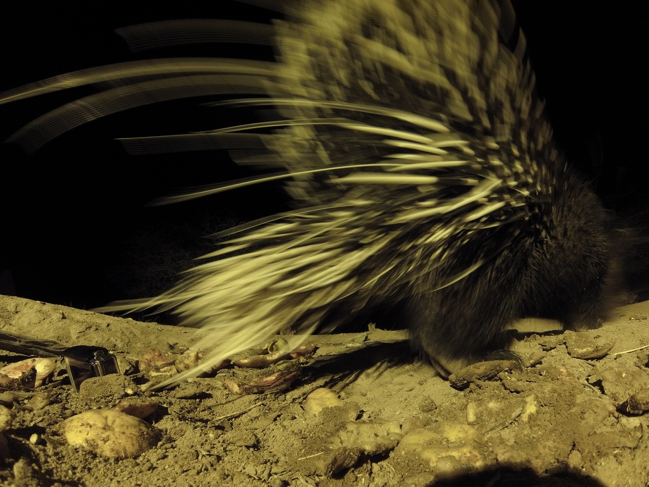 [10947] 2016_06_23_19_53_25_Africa_Hero3-Silver_Edition_IMG__00875.jpg