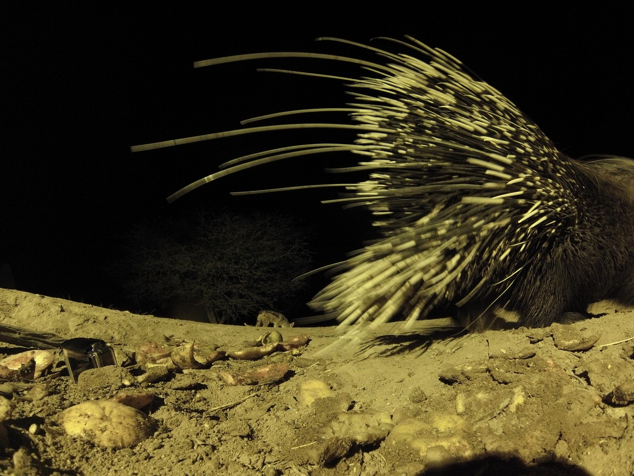 [10952] 2016_06_23_19_53_28_Africa_Hero3-Silver_Edition_IMG__01324.jpg