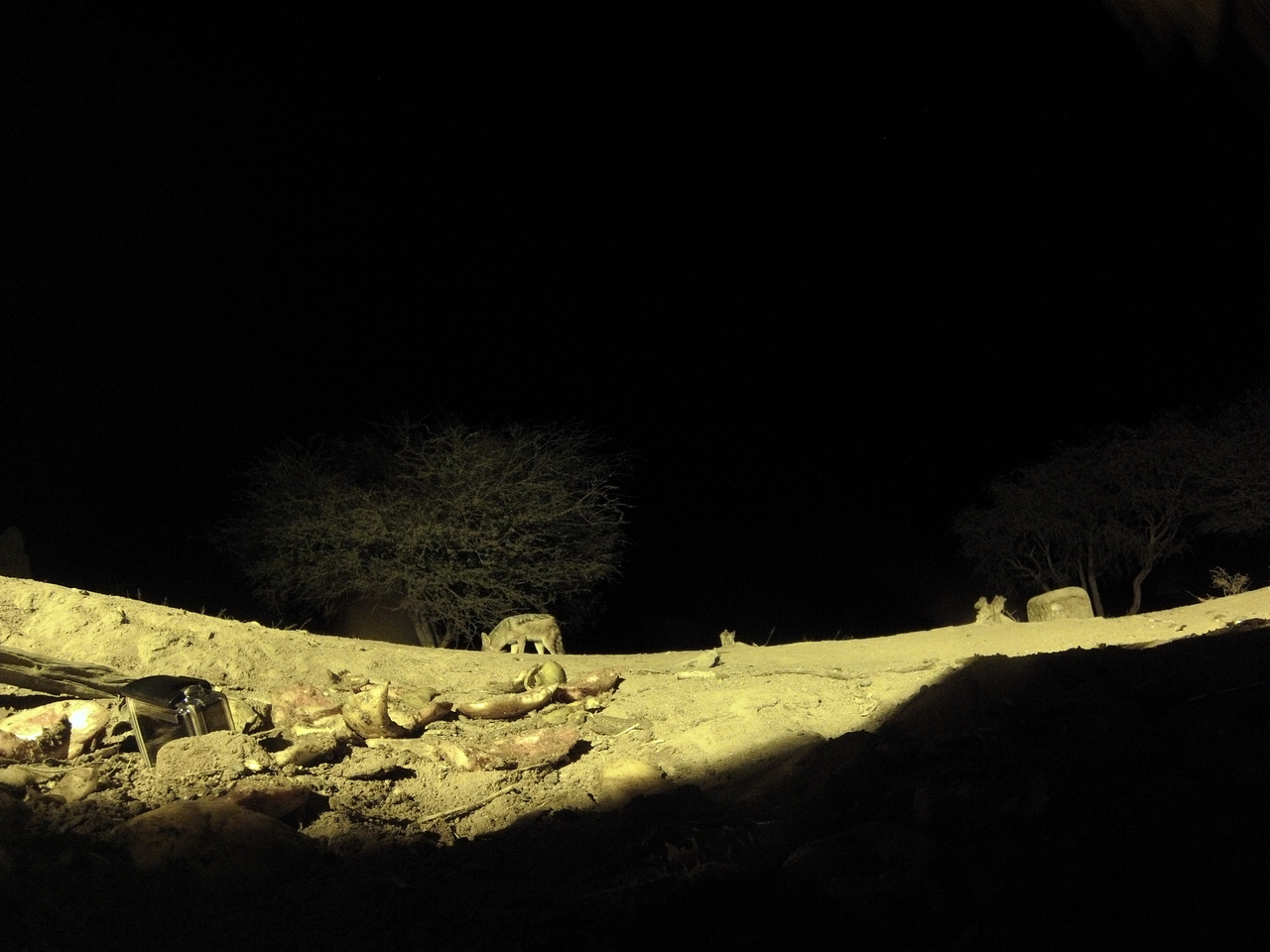 [10960] 2016_06_23_19_53_37_Africa_Hero3-Silver_Edition_IMG__01326.jpg