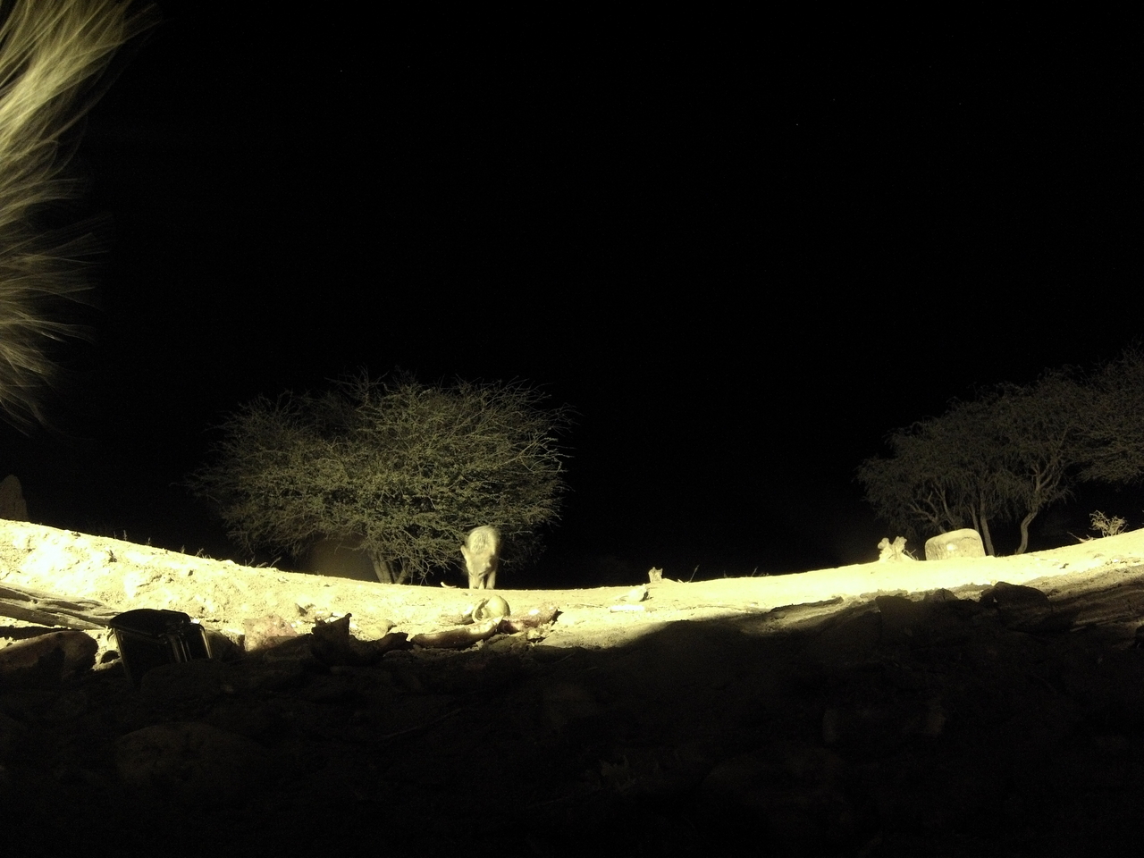 [10964] 2016_06_23_19_53_41_Africa_Hero3-Silver_Edition_IMG__01327.jpg