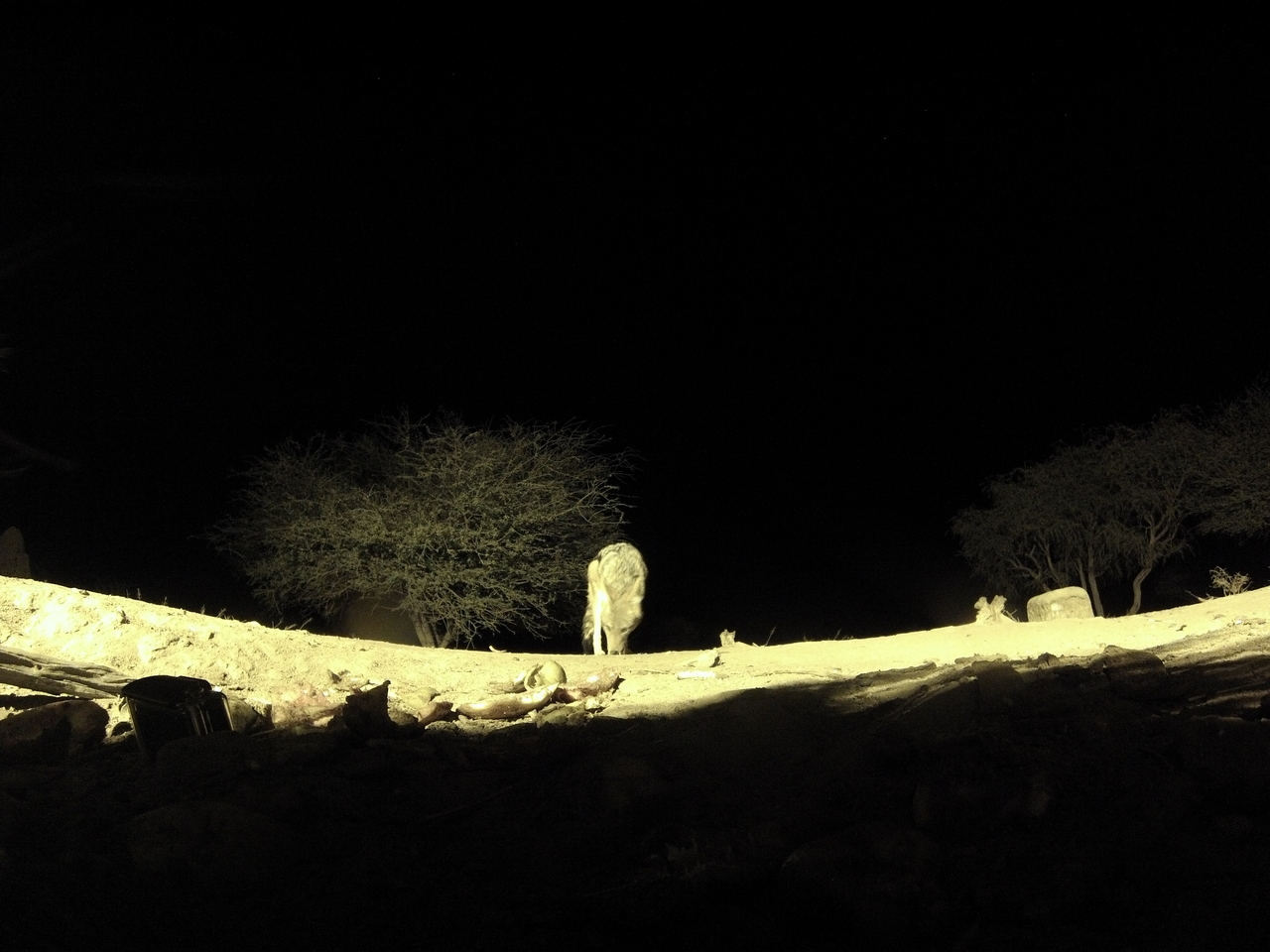 [10965] 2016_06_23_19_53_45_Africa_Hero3-Silver_Edition_IMG__00880.jpg