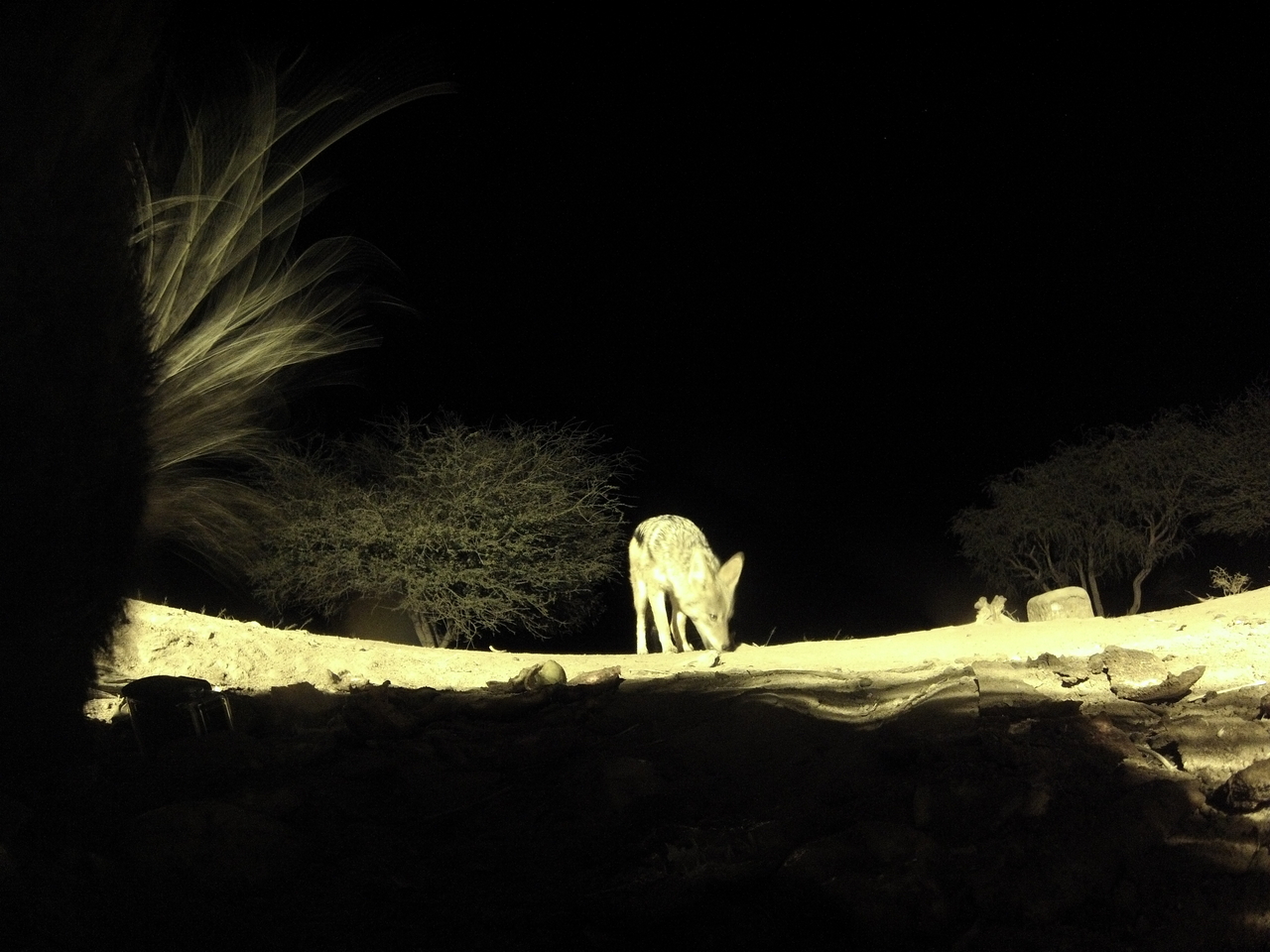 [10969] 2016_06_23_19_53_49_Africa_Hero3-Silver_Edition_IMG__00881.jpg