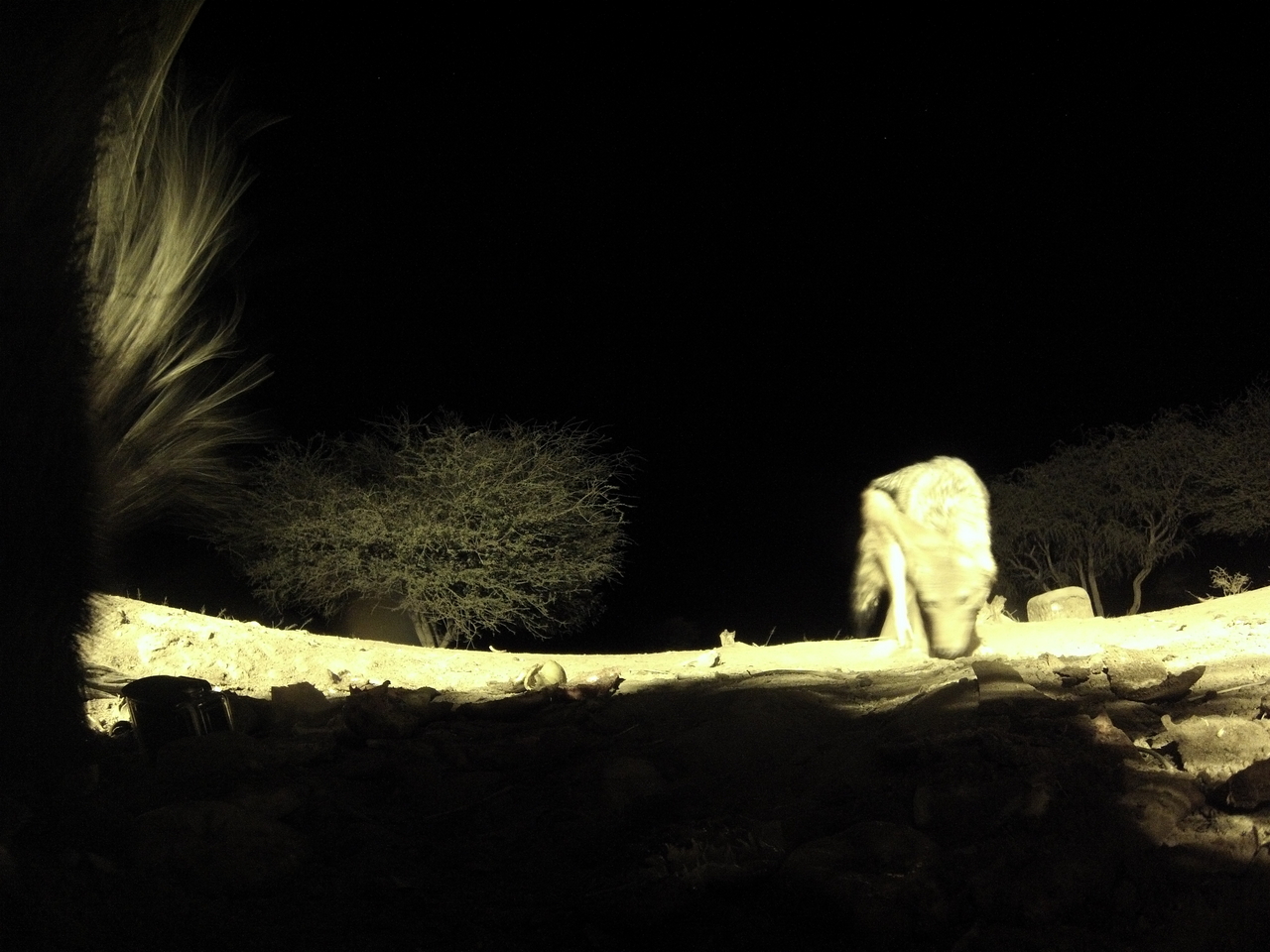 [10978] 2016_06_23_19_53_57_Africa_Hero3-Silver_Edition_IMG__01331.jpg