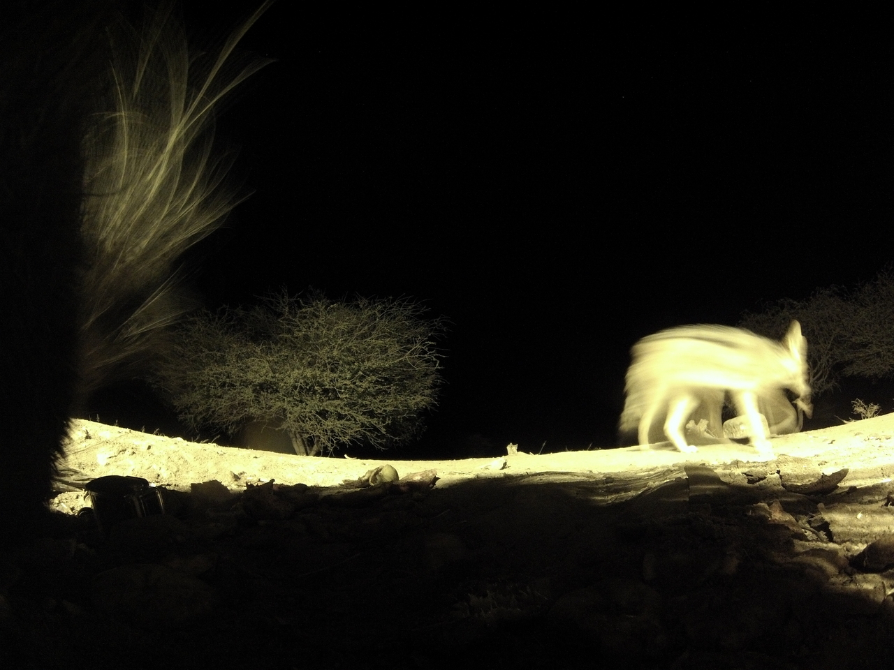 [10980] 2016_06_23_19_54_01_Africa_Hero3-Silver_Edition_IMG__01332.jpg