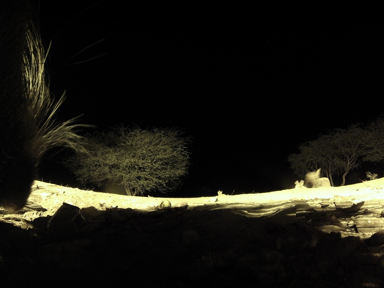 [10983] 2016_06_23_19_54_05_Africa_Hero3-Silver_Edition_IMG__00885.jpg