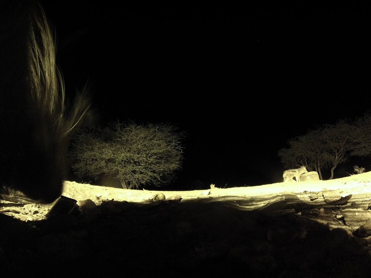 [10987] 2016_06_23_19_54_09_Africa_Hero3-Silver_Edition_IMG__00886.jpg