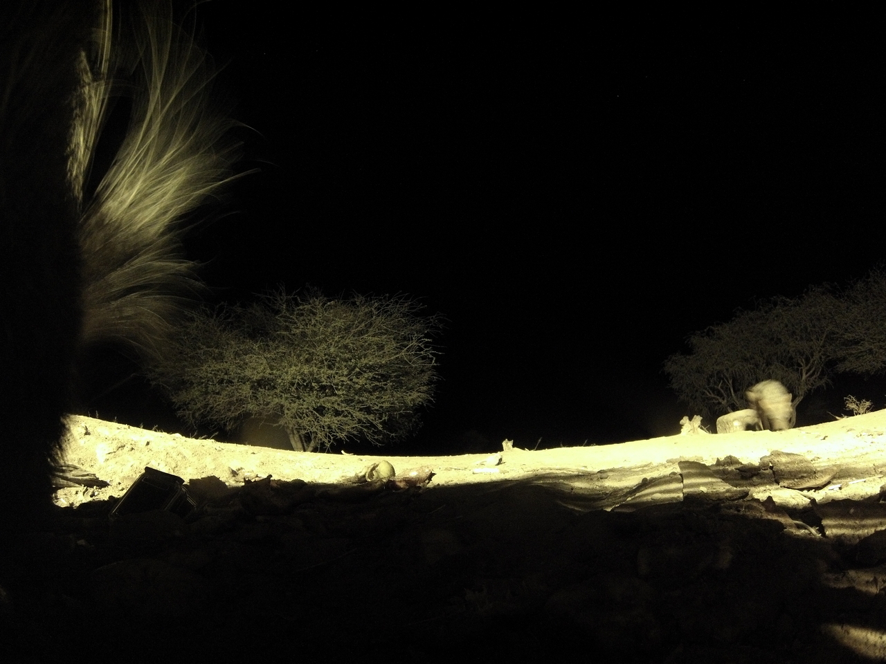 [10998] 2016_06_23_19_54_21_Africa_Hero3-Silver_Edition_IMG__01337.jpg