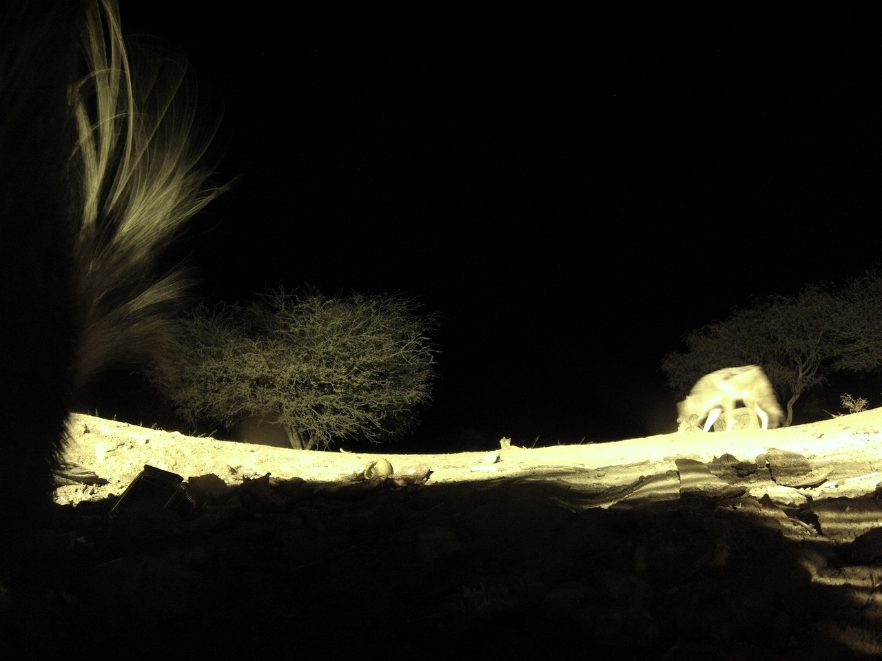 [11001] 2016_06_23_19_54_25_Africa_Hero3-Silver_Edition_IMG__00890.jpg