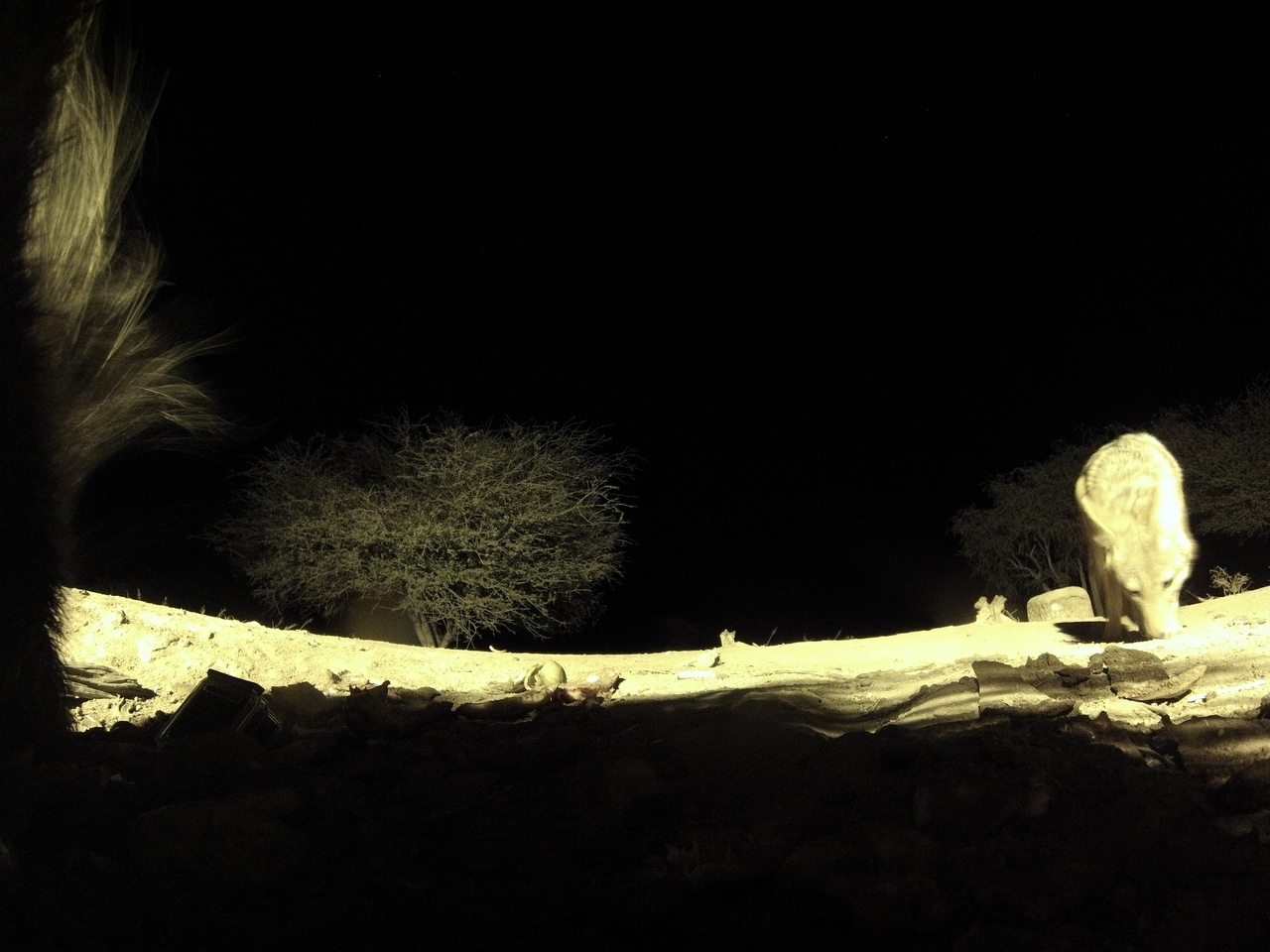 [11020] 2016_06_23_19_54_45_Africa_Hero3-Silver_Edition_IMG__01343.jpg