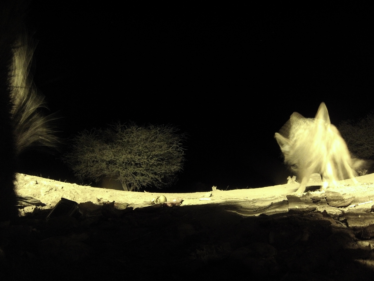 [11031] 2016_06_23_19_54_57_Africa_Hero3-Silver_Edition_IMG__00898.jpg