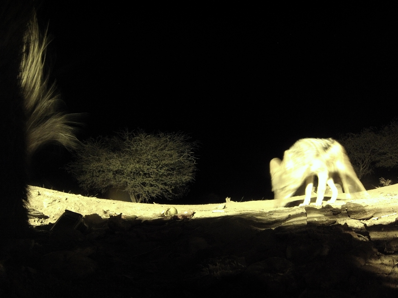 [11037] 2016_06_23_19_55_05_Africa_Hero3-Silver_Edition_IMG__00900.jpg