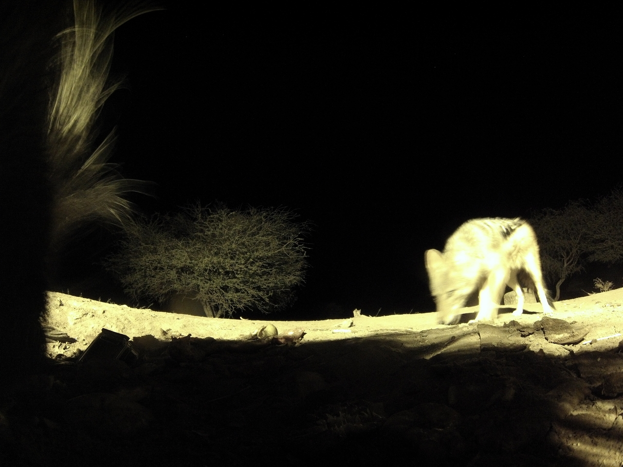 [11042] 2016_06_23_19_55_09_Africa_Hero3-Silver_Edition_IMG__01349.jpg