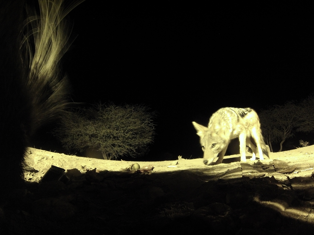 [11046] 2016_06_23_19_55_13_Africa_Hero3-Silver_Edition_IMG__01350.jpg